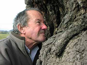 Ted Green