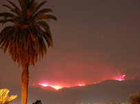 The fire near Los Angeles by Jannine Senior 