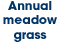 Annual meadow grass