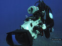 Underwater cameraman Scott Tibbles