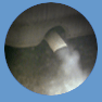 car exhaust fumes