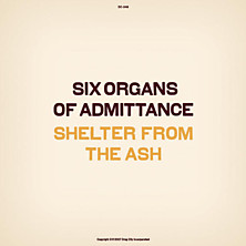 Review of Shelter From the Ash