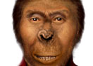 'Devolve' yourself game