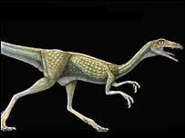 Compsognathus