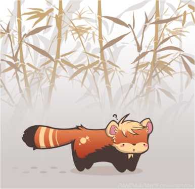 This Is Not A Panda