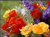 Roadside flowers