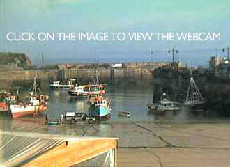 Newquay harbour