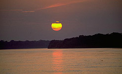 Sunset over Amazon jungle, Peru, South America