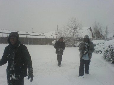 Frozen wasteland