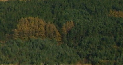 Kielder Water and Forest