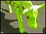 cows in 360º