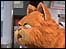 Pic: Garfield: link.