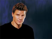 David Boreanaz