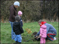 Family planting tree