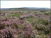 Hartland Moor c/o Jenny Goy