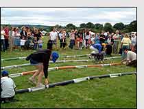 Ferret racing