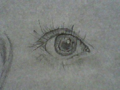 Eye