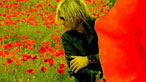 Mike Peters