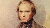Portrait of the young Charles Darwin