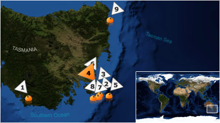 Dive map - Southern Ocean - Site 4