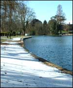 Snow in Stratford 