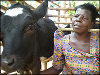 A Ugandan woman and her cow