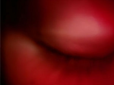 Lashes