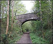 Bridge over the path