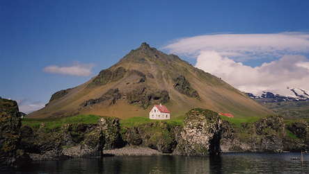 Icelandic, Arnastapi, Iceland © Annabel Else