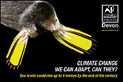 Poster of a mole
