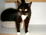 Kira, a resident at the Whiteley Shelter