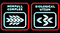 Spaceship Graphics