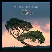 Review of Wide Open Road - The Best of The Triffids 