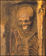 Remains of body found in Jamestown, Virginia