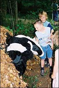 Children with badger character