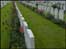WW1 gravestones