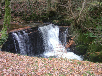 Llun hydrefol o Readr Yr Aran, Dolgellau gan Ieuan James o Rhos, Maesbrith