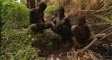 suri's video screenshot thumbnail