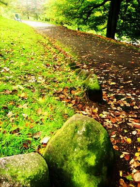 The road less traveled