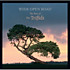 Review of Wide Open Road - The Best of The Triffids 