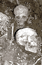Another grave of Black Death victims is found