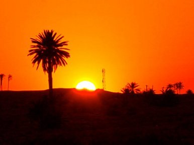 'Sunrise in the Sahara'