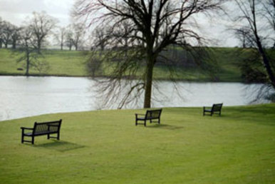Benches