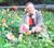 Hywel Jones
