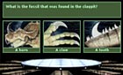 The Baryonyx mystery