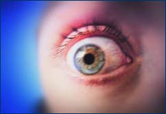 Eye