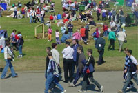 Maes Steddfod