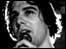the cribs
