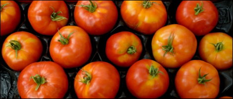 Tomatoes