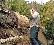 Thatching